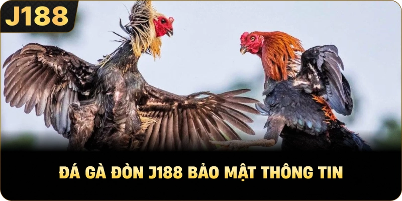 Đá Gà Đòn J188 bảo mật thông tin