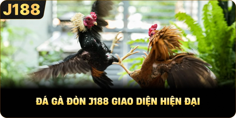 Đá Gà Đòn J188 giao diện hiện đại