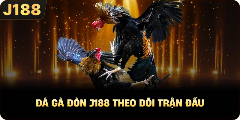 Đá Gà Đòn J188 theo dõi trận đấu