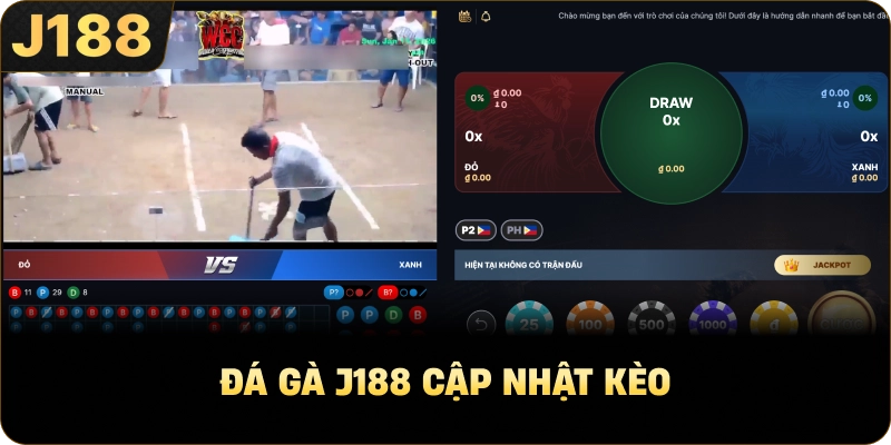 Đá gà J188 cập nhật kèo