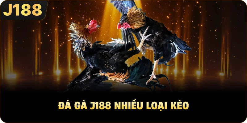 Đá gà J188 nhiều loại kèo
