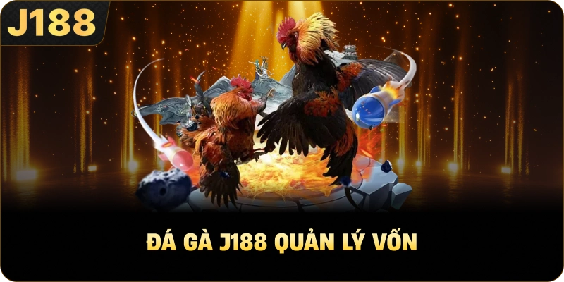 Đá gà J188 quản lý vốn